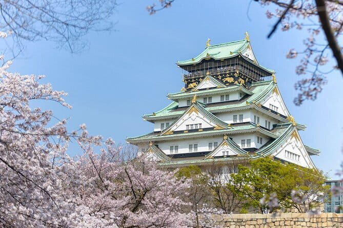 Departure from Osaka City to Kansai Airport KIX by Minivan - Final Thoughts: Who is This Tour Best For?