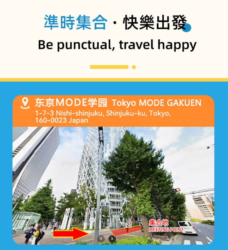Departure from Tokyo: Mt. Fuji & Hakone Day Trip (Optional Bullet Train Return) - The optional pirate ship across Lake Ashi