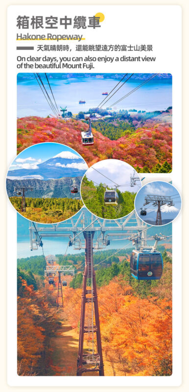 Departure from Tokyo: Mt. Fuji & Hakone Day Trip (Optional Bullet Train Return) - What to bring and check before you go
