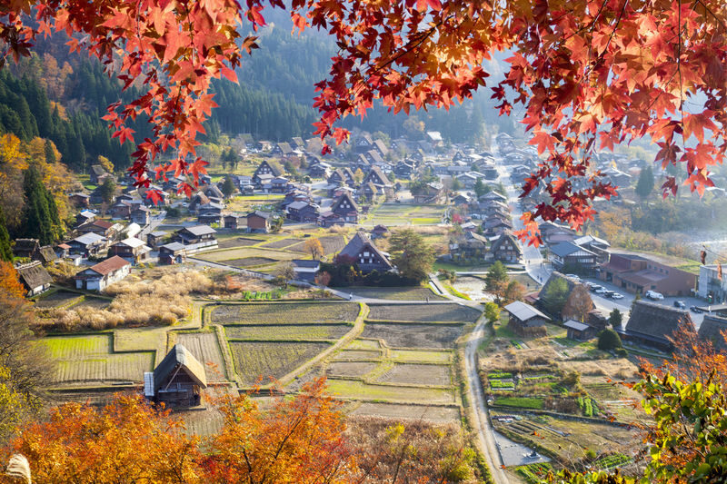 Departure from Tokyo: Tateyama Kurobe 3-Day Tour: Limited-Time Snow Wall Otani & Shirakawa-go Gassho-style Village & Hida-Takayama & Matsumoto Castle (Hot Spring Ryokan Stay) - Day three: Shirakawa-go and Hida Takayama