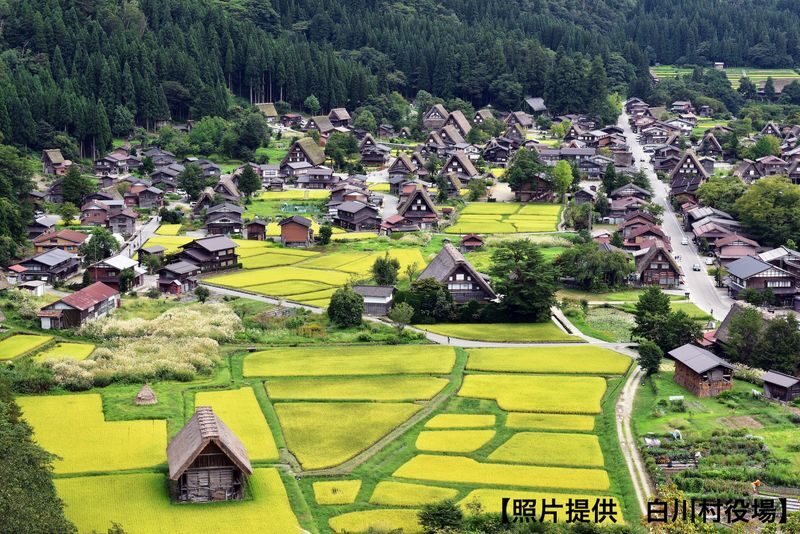 Departure from Tokyo: Tateyama Kurobe 3-Day Tour: Limited-Time Snow Wall Otani & Shirakawa-go Gassho-style Village & Hida-Takayama & Matsumoto Castle (Hot Spring Ryokan Stay) - What the price covers, and what it does not