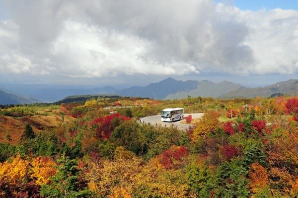 Departure from Tokyo: Tateyama Kurobe 3-Day Tour: Limited-Time Snow Wall Otani & Shirakawa-go Gassho-style Village & Hida-Takayama & Matsumoto Castle (Hot Spring Ryokan Stay) - Food, comfort and small practical details