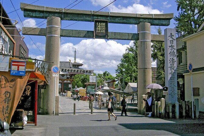 Departure Private Transfers: Osaka City to Kansai Airport KIX in Business Car - Final Thoughts: Who Is This Service Best For?