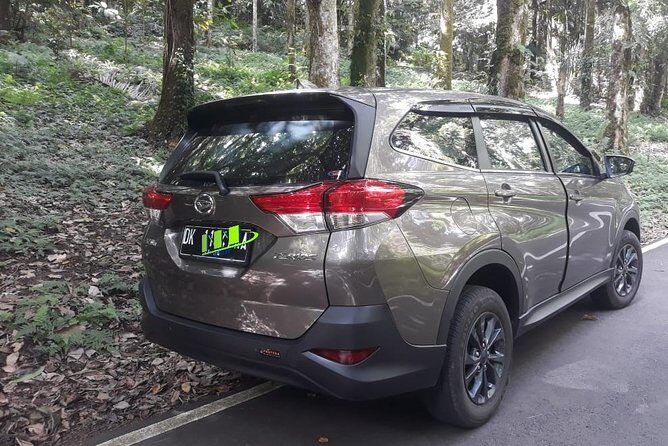 Departure Transfer From Kuta and Legian to Ngurah Rai International Airport Bali - Detailed Review of the Experience