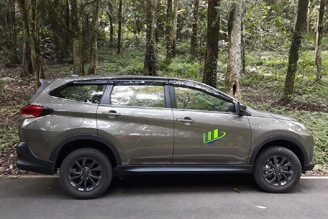 Departure Transfer from Seminyak, Kerobokan to Bali Airport (DPS) - The Itinerary: What You Can Expect