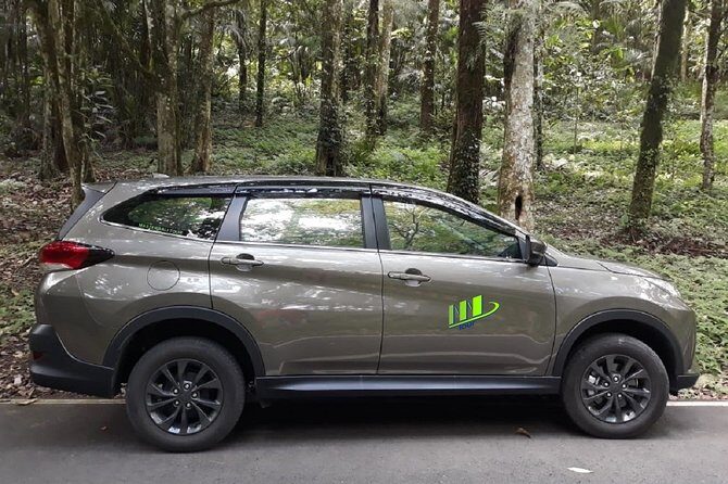 Departure Transfer from Ubud, Canggu, Uluwatu to Bali Airport - The Experience in Detail