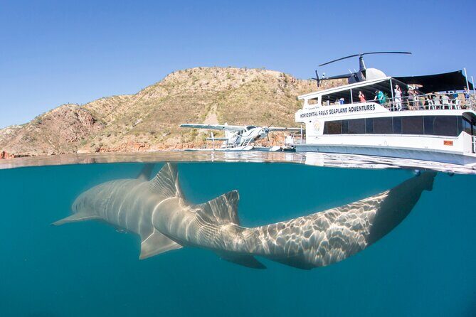 Derby to Horizontal Falls Half Day Adventure - Final Thoughts