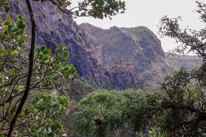 Descent to Caldeira do Faial - The Perfect Adventure - Key Points