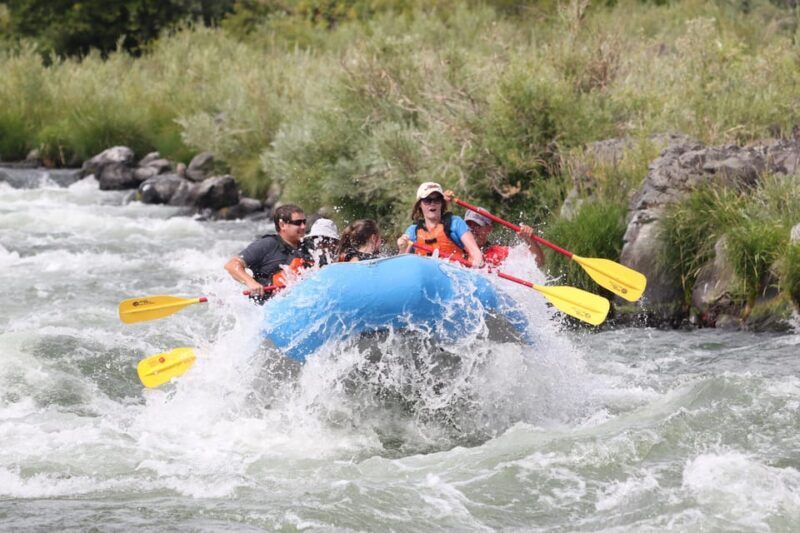 Deschutes River Half Day trips - Discover the Deschutes River Half Day Trip: An Adventure for Everyone