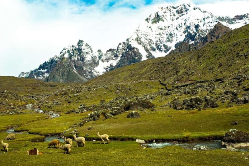 Desde Cusco: Tour Ausangate 7 Lagunas 1 dia. - The Sum Up: Is This Tour Worth It?