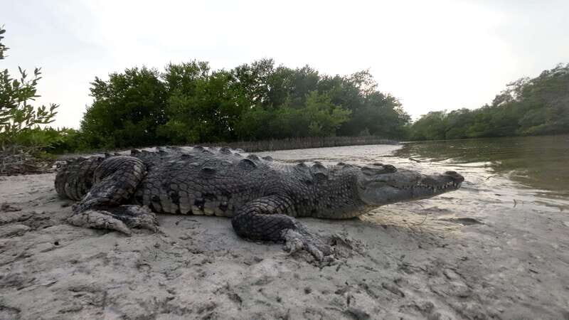 Desde Holbox: SunSea- SUNSET Kayak - Key Points