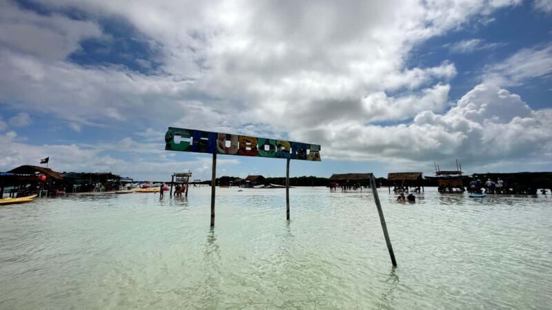 Desde Merida: Isla columpios - Who Should Consider This Tour?