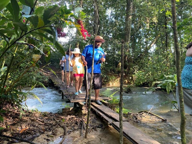 Desde Palenque: Rafting, Caminata en Selva Y Bonampak - Key Points