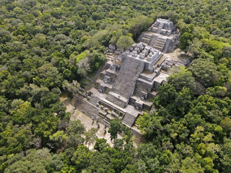 Desde Palenque: Zona Arqueológica Calakmul - From Palenque to Calakmul: An Unforgettable Maya Journey