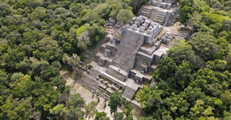Desde Palenque: Zona Arqueológica Calakmul - Why This Tour Offers Great Value