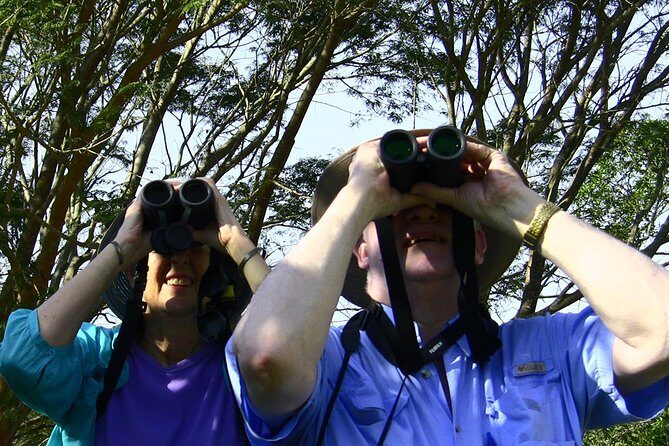 Desembocada and Ameca River Bird Paradise (Wetland and Tropical birds in PV) - Frequently Asked Questions