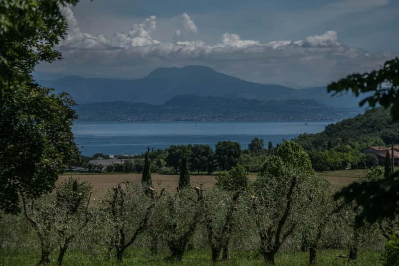 Desenzano d/G: guided bike day trip + selected wines, cooking class - Desenzano d/G: guided bike day trip + selected wines, cooking class