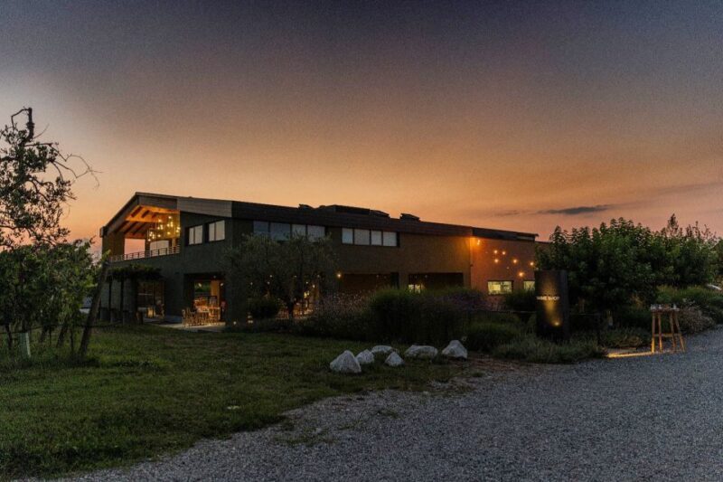 Desenzano: Lugana Wine-Tasting and Vineyard Tour - Key Points