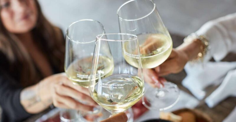Desenzano: Lugana Wine-Tasting and Vineyard Tour - Who Will Love This Tour?