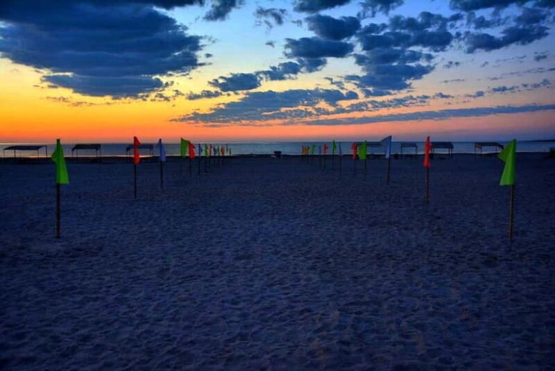 Desert Adventure from Samarkand: Yurt Camp & Aydarkul Escape - Key Points