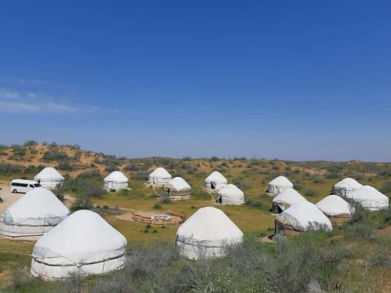 Desert Adventure from Samarkand: Yurt Camp & Aydarkul Escape - A Deep Dive into the Desert Adventure Tour