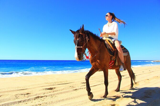 Desert and Beach Horseback Riding Experience in Cabo - Key Points