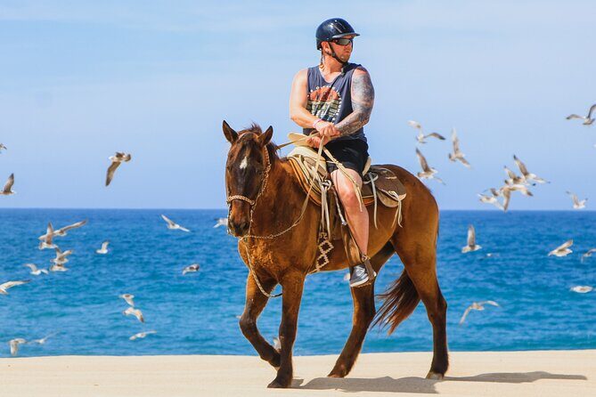 Desert and Beach Horseback Riding Experience in Cabo - A Closer Look at the Experience