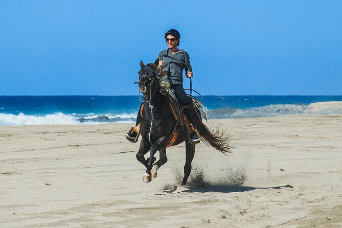 Desert and Beach Horseback Riding Experience in Cabo - FAQs