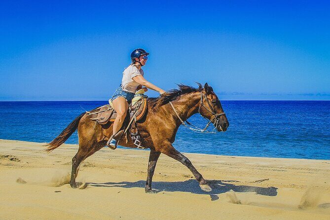 Desert and Beach Horseback Riding Experience in Cabo - Final Thoughts