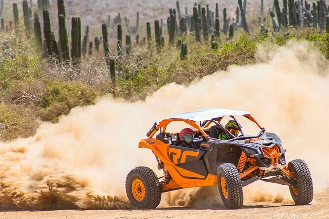 Desert and Beach Off Road Tour in Cabo San Lucas - Practical Details and What to Expect