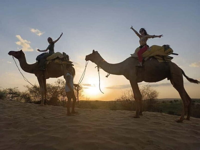 Desert Camel Safari Day Tour In Jodhpur - Practical Tips for the Tour