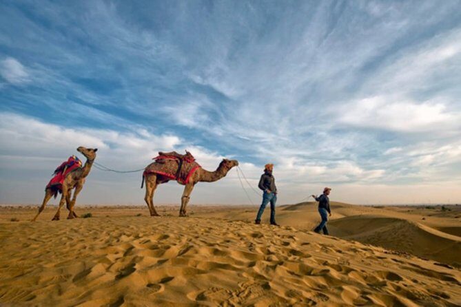 Desert Camel Safari Day Tour In Jodhpur - Desert Camel Safari Day Tour in Jodhpur: An Authentic Taste of Rajasthan