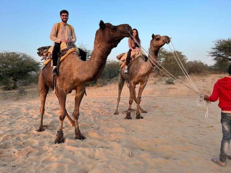 Desert Camel Safari Day Trip From Jodhpur - A Scenic Day in Rajasthan: Camel Safari and Cultural Highlights