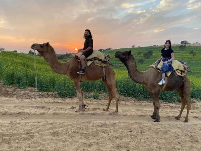Desert Camel Safari Day Trip From Jodhpur - Why This Tour Offers Good Value