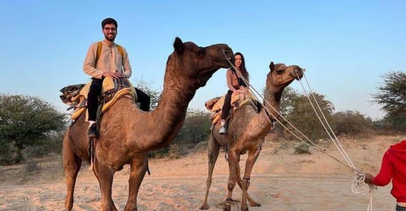 Desert Camel Safari Day Trip From Jodhpur - Who Would Enjoy This Tour?