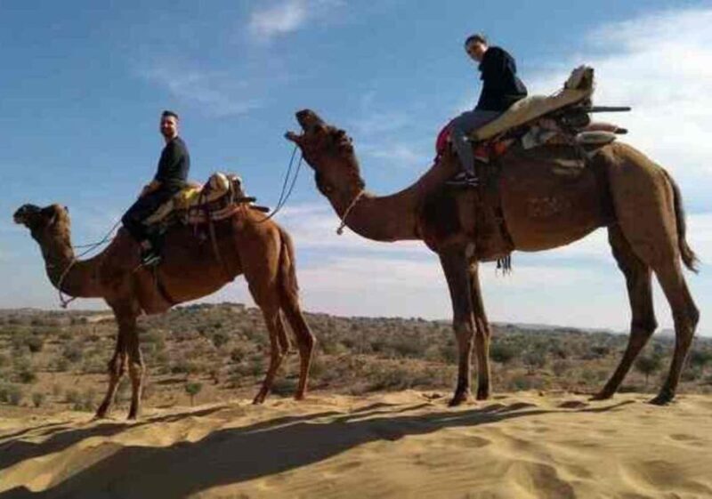 Desert Jeep Safari Tour From Jodhpur - Experience the Desert: Jeep and Camel Safari from Jodhpur