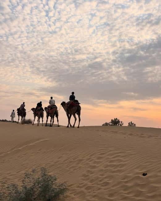 Desert Rose Jaisalmer: Overnight Stay Middle of Thar Desert - Introduction: An Authentic Night in the Heart of the Thar Desert