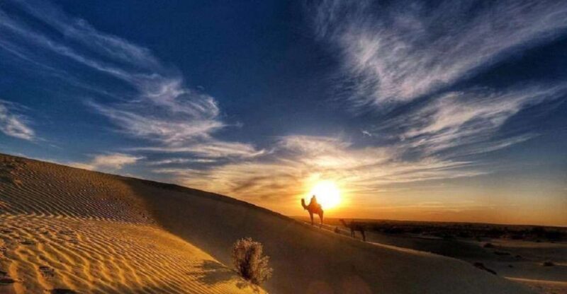 Desert Rose Jaisalmer: Overnight Stay Middle of Thar Desert - Key Points