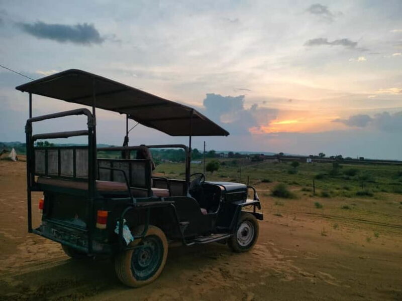 DESERT SAFARI CAMP OSIAN : Jeep & Camel safari - Key Points