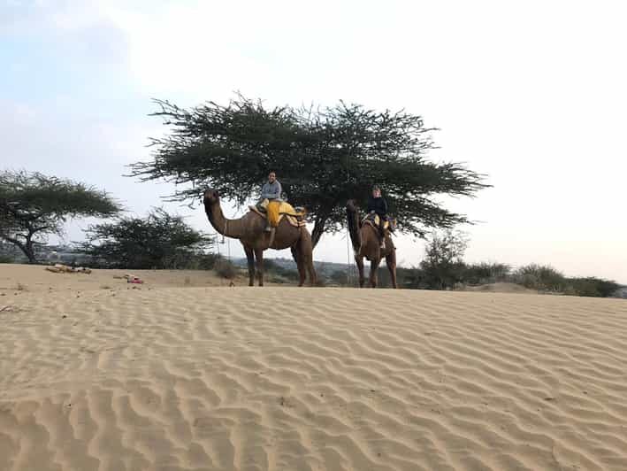 Desert Safari In Jodhpur - Frequently Asked Questions