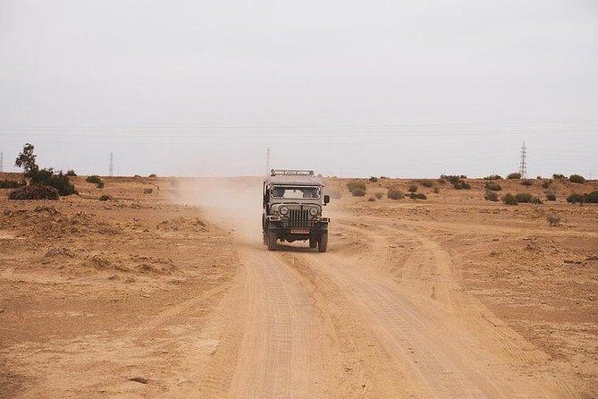 Desert Safari Tour Package - Final Thoughts