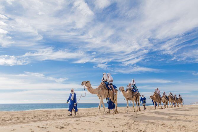 Desert & sea, Camel Safari tour in Los Cabos with lunch - Key Points
