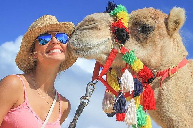 Desert & sea, Camel Safari tour in Los Cabos with lunch - Practical Details and Considerations