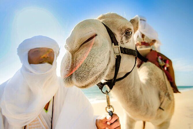 Desert & sea, Camel Safari tour in Los Cabos with lunch - FAQ
