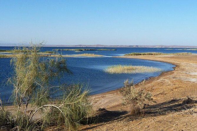 Desert Yurt Camp tour - 2 days (shared) - Travel Experience and Practical Tips