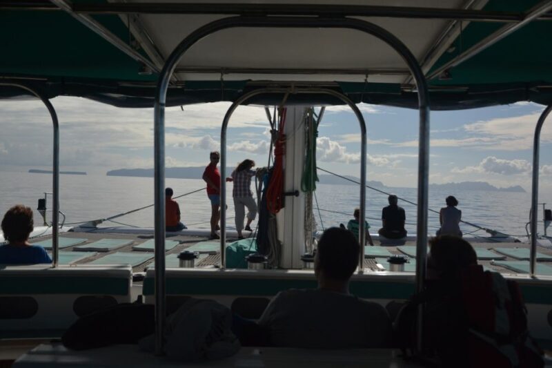 Desertas Islands Full-Day Catamaran Trip from Funchal - Desertas Islands Full-Day Catamaran Trip from Funchal