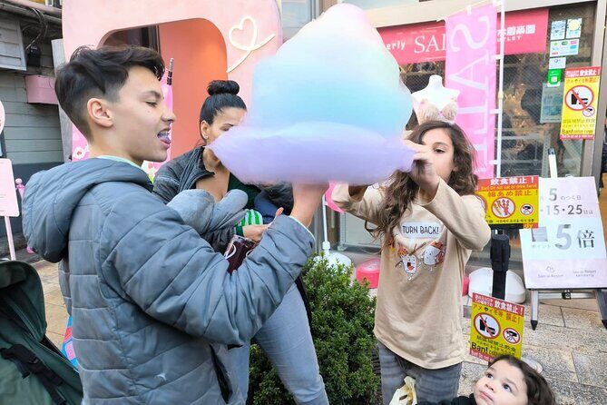 Design Your Day Fully Customized Tour with Private Car Tasty Food - Exploring Tokyo at Your Own Pace: The Details of the Tour