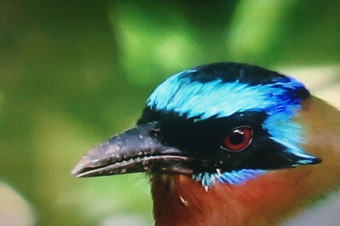 Design your own individual excursion - Practical Details and Value