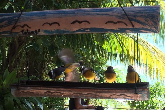 Design your own individual excursion - Who Would Love This Tour?