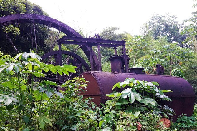 Design your own individual excursion - Frequently Asked Questions